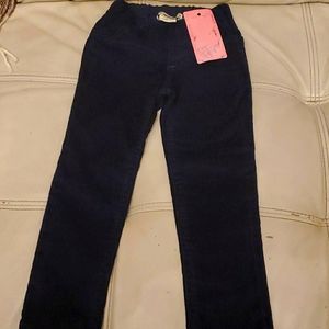 Anthem of the ants corduroy pants tights 12m